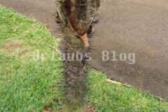 IMG_1703