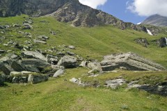 IMG_20150807_135931