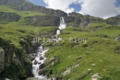 IMG_20150807_140622