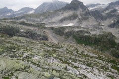 IMG_20150808_111414