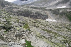 IMG_20150808_111434