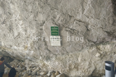 IMG_20150809_152135